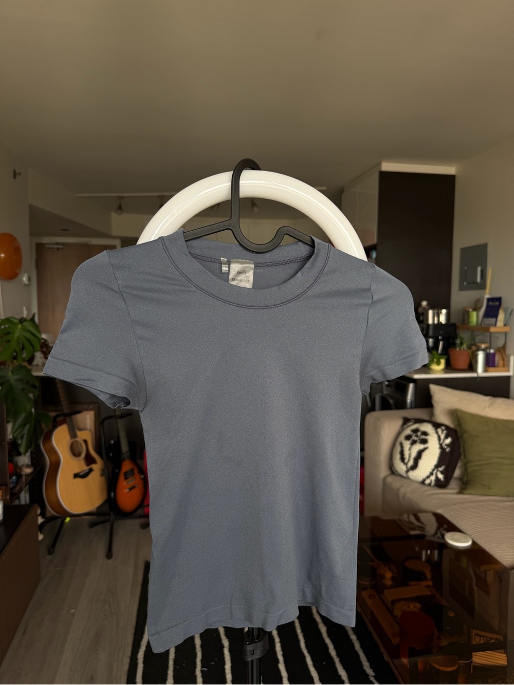 Aritzia Short Sleeve Crew Tee in Slate Gray